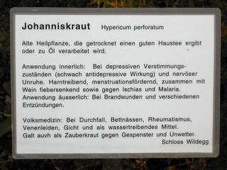 Johanniskraut Tafel