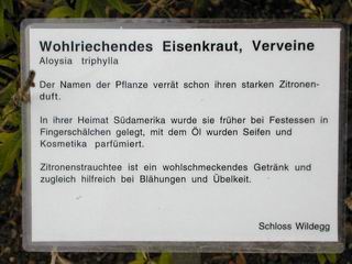 Verveine Tafel