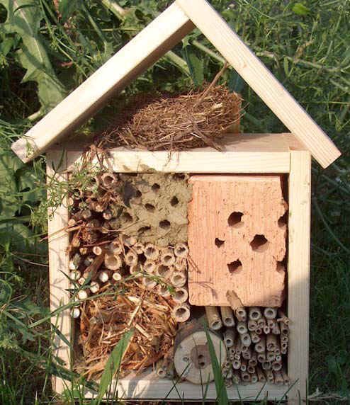 http://images.umweltberatung.at/htm/haus-fuer-nuetzlinge-infobl-garten.pdf