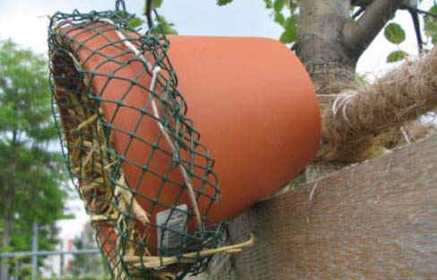 http://images.umweltberatung.at/htm/haus-fuer-nuetzlinge-infobl-garten.pdf