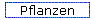 Pflanzen